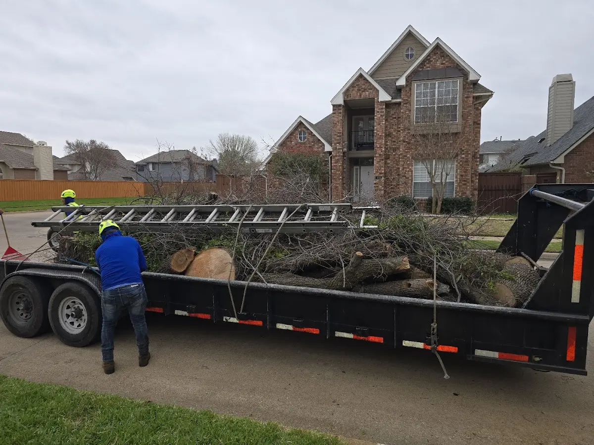 Expert Tree Fertilization with proper safety equipment in Dover Foxcroft